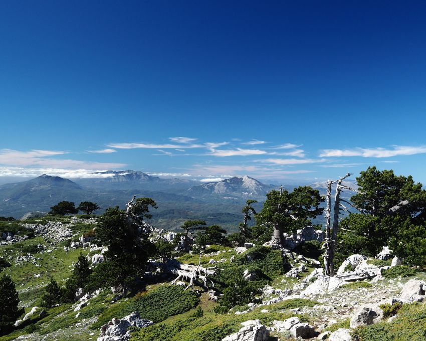 Il Parco nazionale del Pollino